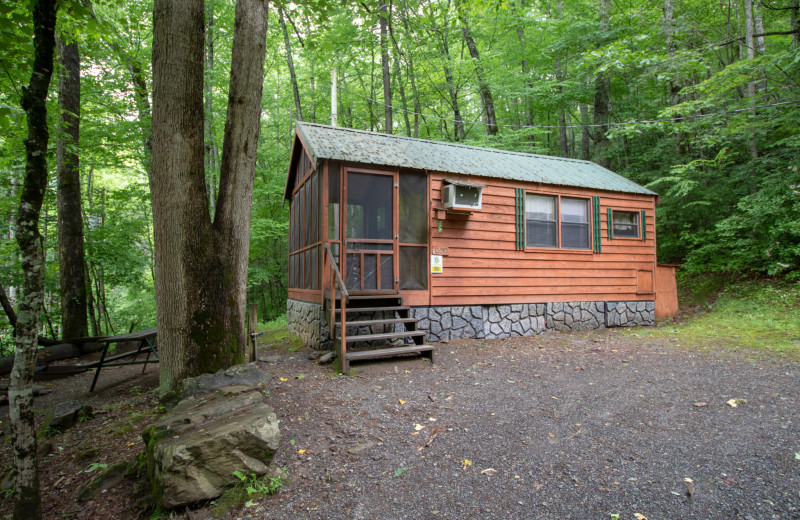 Cabin exterior at Yogi in the Smokies.