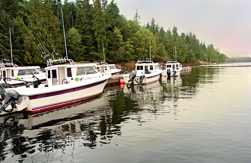 Boats at Salmon Falls Resort.