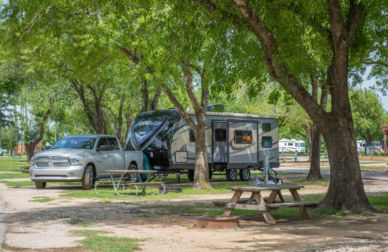 RV Park at Lone Star Jellystone.