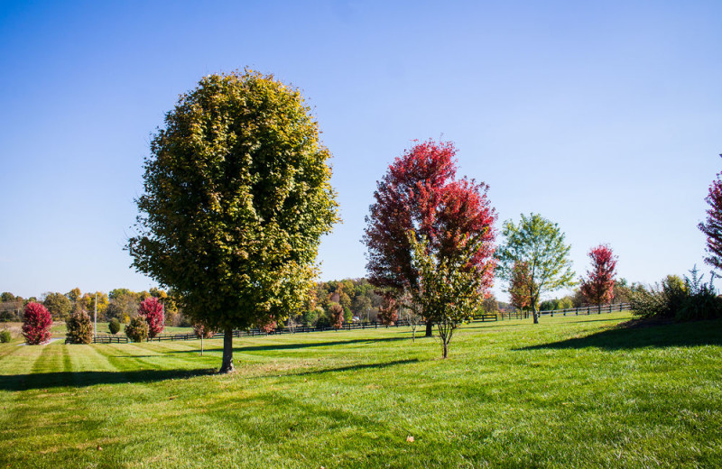 Grounds at Southern Grace Bed & Breakfast.