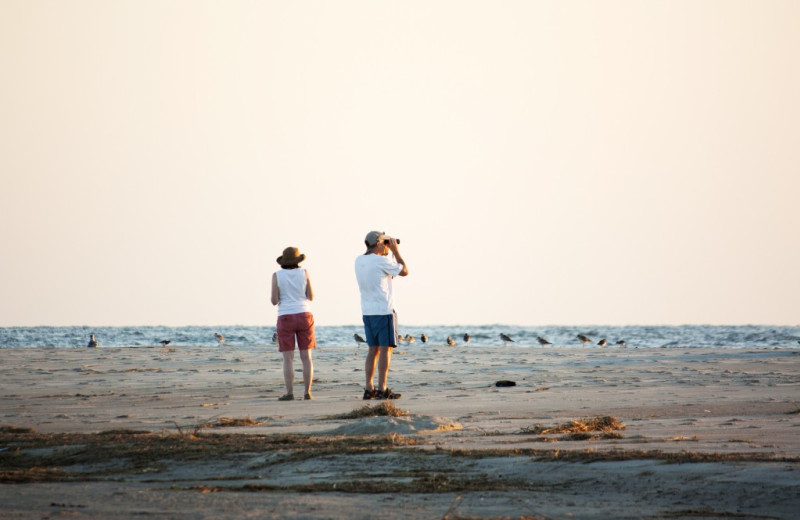 oak island accommodations