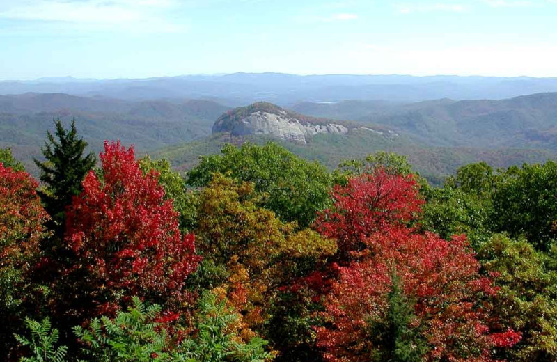 Pisgah Forest at Mountain Lodge & Conference.
