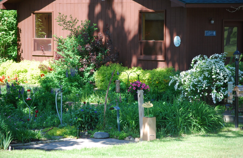 Garden at Geiger's Trails End.