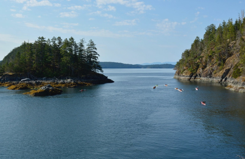 Scenic view at Orca Camp.