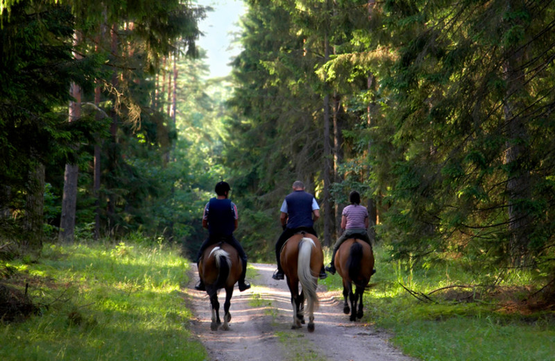 Horseback riding at Inn At Lake Joseph.