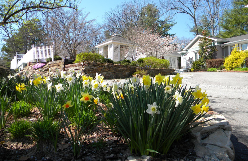 Garden view at The Garden Walk Bed 