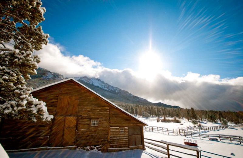 Winter at Wind River Ranch