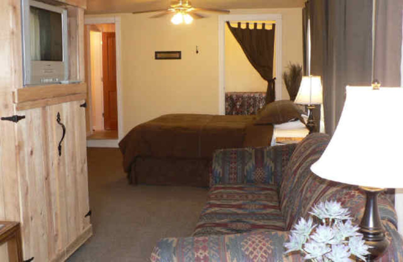 Living Area w/ Bed at Alpaca Inn