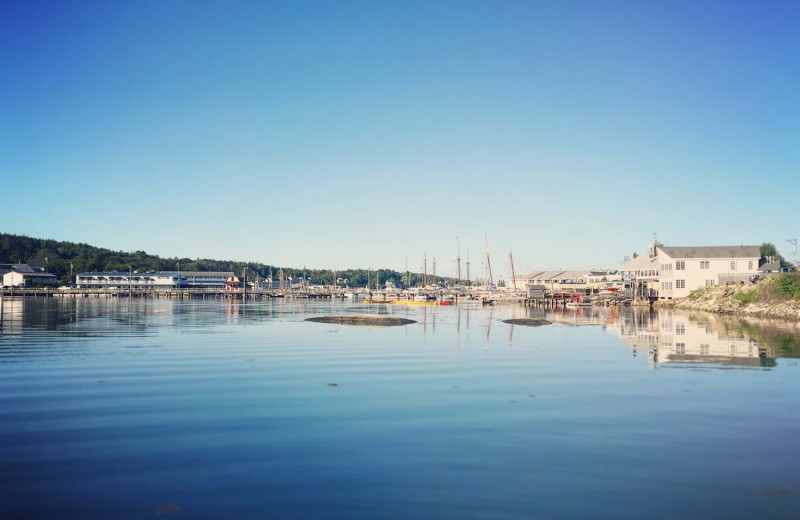 Marina at Harborage Inn.