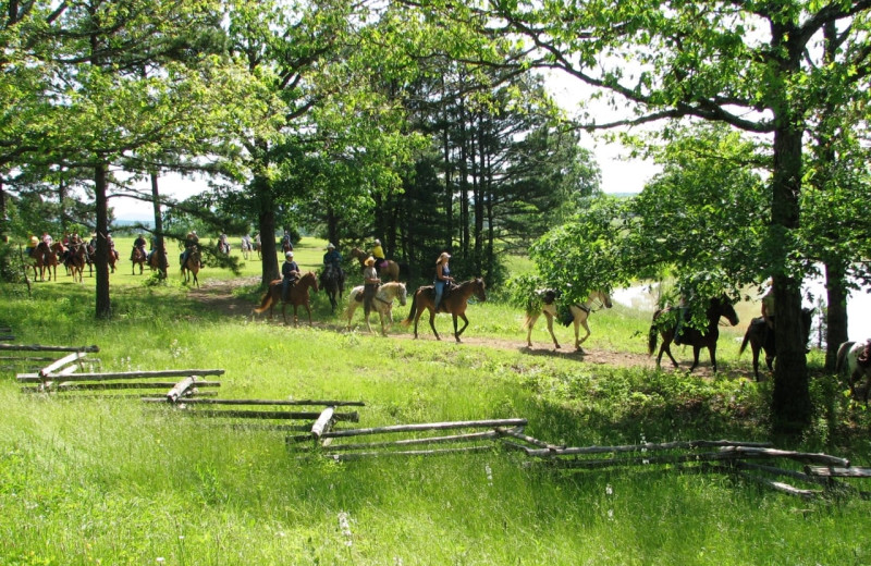 Horseback riding at Mulberry Mountain Lodging & Events.