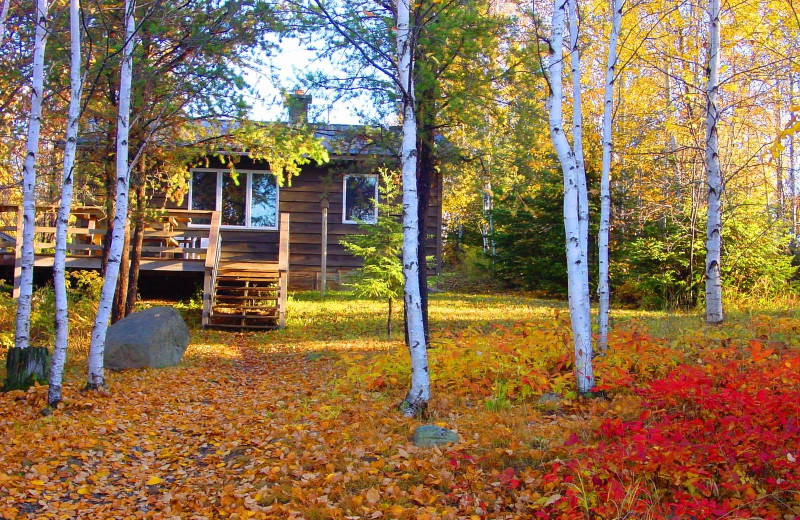 Cabin exterior at Golden Eagle Lodge.