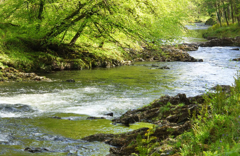 River near Holne Chase Hotel.