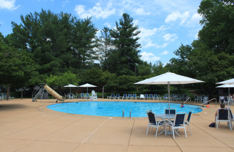 Pool at Boar's Head Resort.