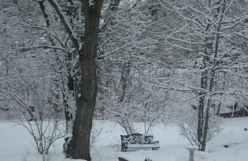 Winter at Cathedral Ledge Resort.