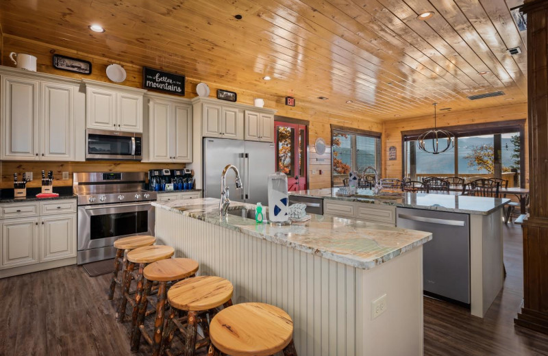 Rental kitchen at Stony Brook Cabins LLC.
