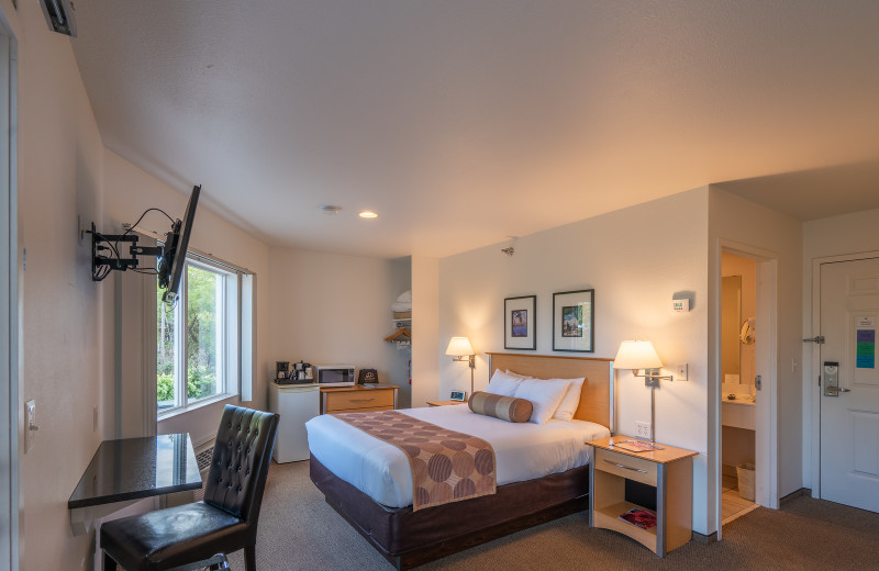 Guest room at South Pier Inn.