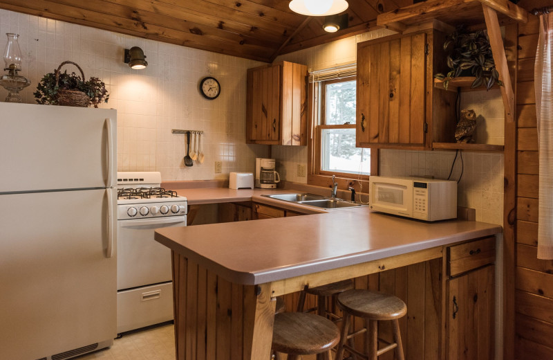 Cabin kitchen at Pitlik's Sand Beach Resort.