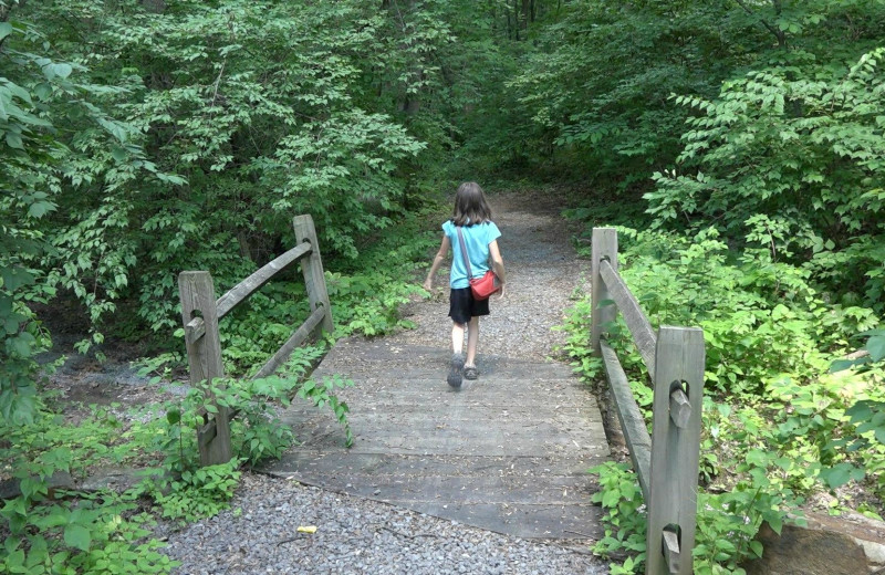 Hiking at Yogi at Shangri-La - Jellystone Park.