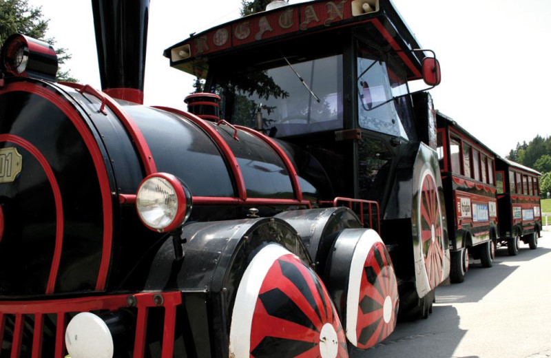 Train at Glamping Olimia Adria Village.