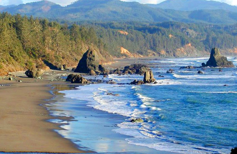 Port Orford Bay near WildSpring Guest Habitat.