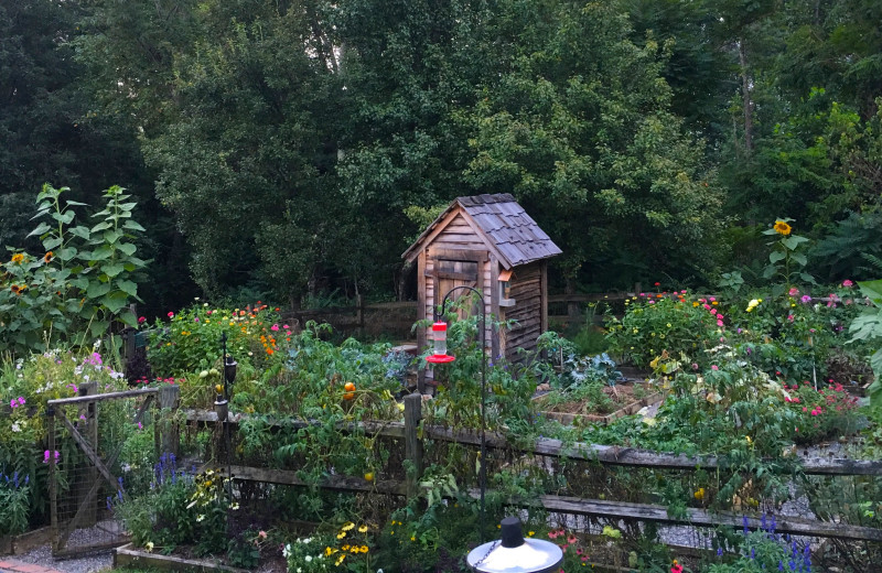 Garden at Brierley Hill Bed and Breakfast.