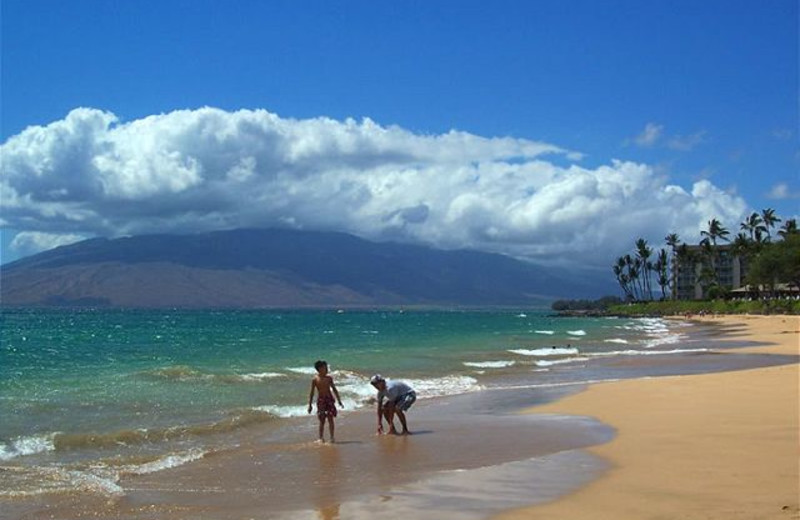 The beach at Maui Vacation Rentals.