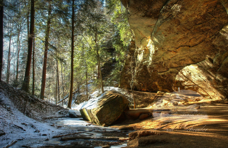 Scenic view at Cut Above Cabins.