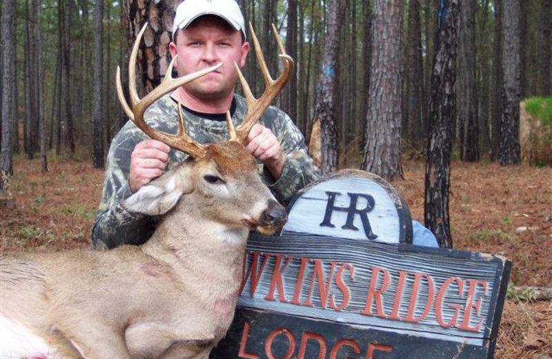 Deer hunting at Hawkin's Ridge Lodge.