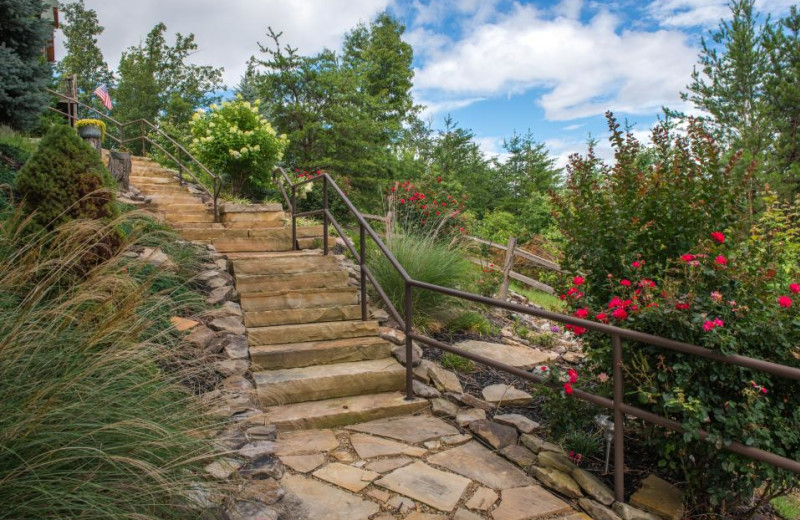 Garden at Vacasa Gatlinburg.