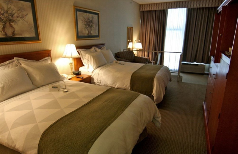Guest room at Radisson Hotel Los Angeles Midtown at USC.