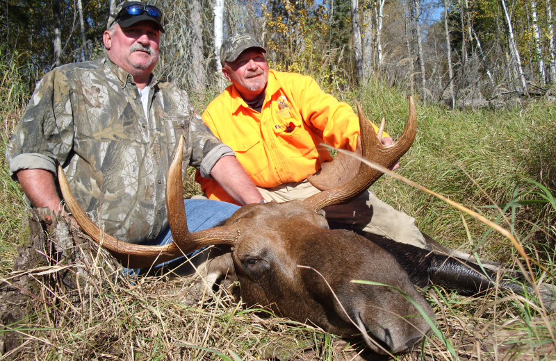 Moose hunting at Maynard Lake Lodge and Outpost.