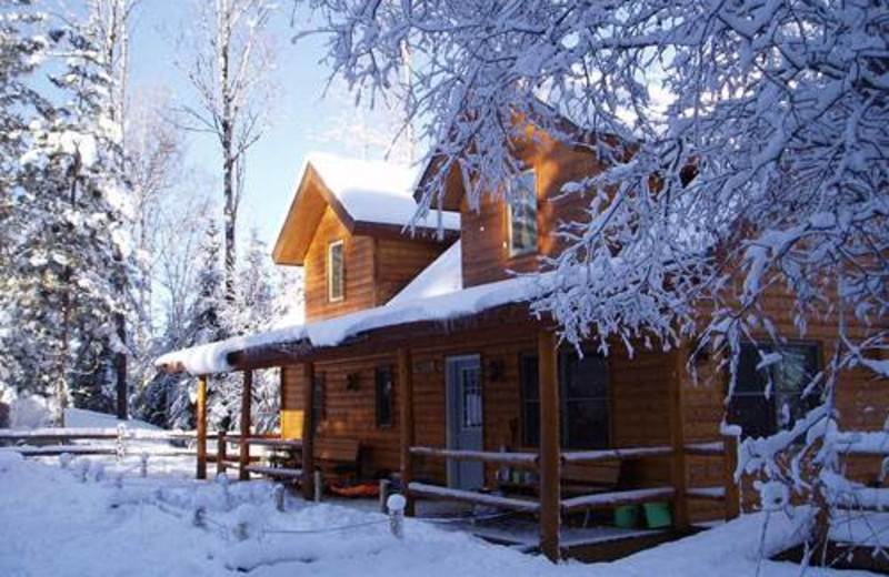 Cabin in winter at Timber Trail Lodge & Resort.