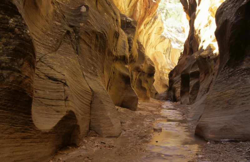 Willis Creek Slot Canyon near Stone Canyon Inn.