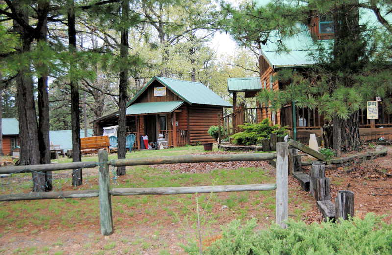 Cabins at Cabin Fever Resort.