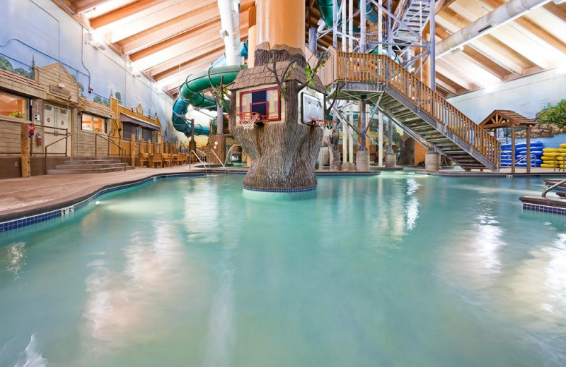 Holiday Inn Minneapolis Nw Elk River And Wild Woods Waterpark Elk River Mn Resort Reviews 9426