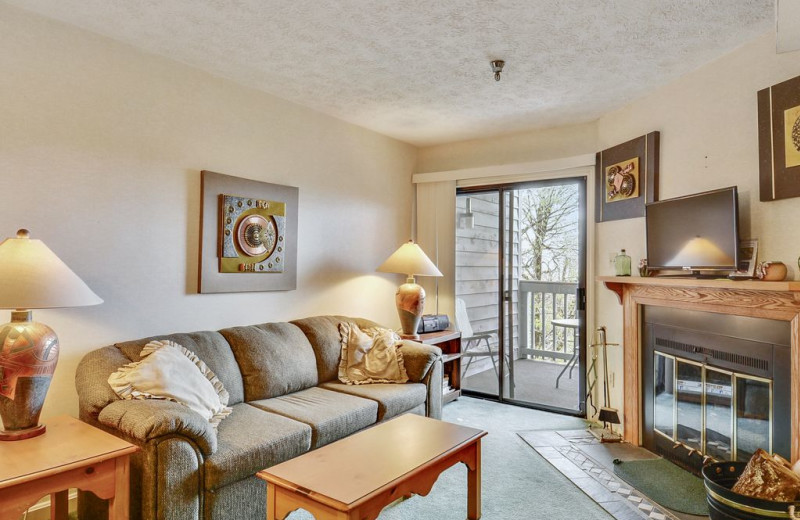 Rental living room at Best of Canaan.