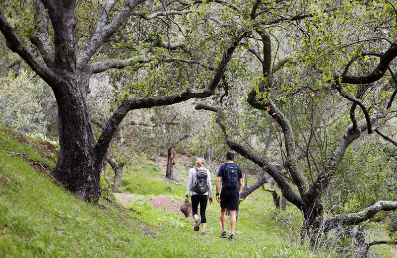 Hiking at The Ranch Malibu.