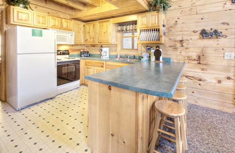 Cabin kitchen at Eagles Ridge Resort.