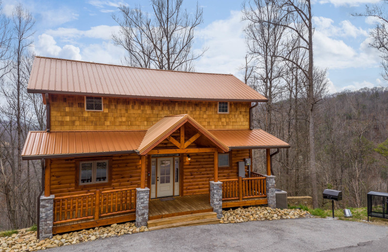 Exterior view of American Patriot Getaways - Happy Bear's Hideaway.