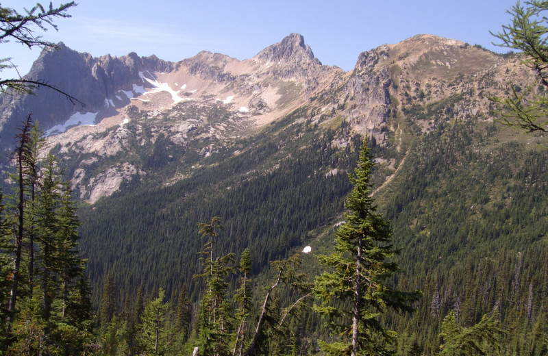 Mountains at Timberline Meadows Lodges.