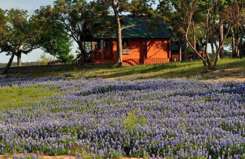 Cabin exterior at Willow Point Resort.