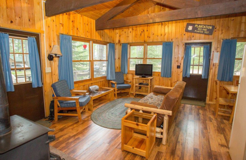 Cabin living room at Timber Bay Lodge & Houseboats.