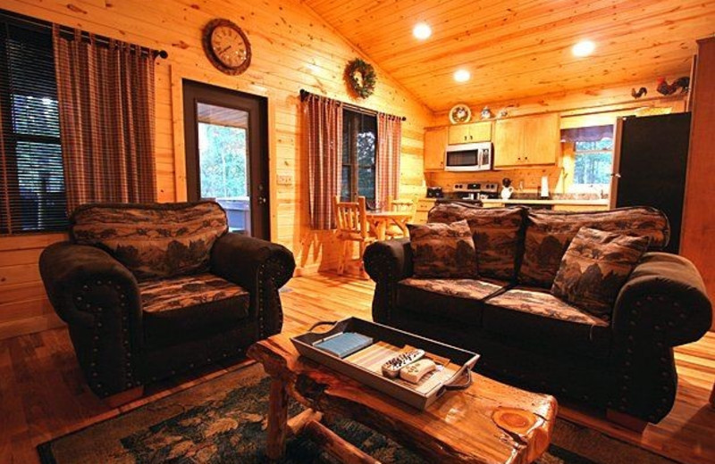 Rental living room at Georgia Mountain Rentals.