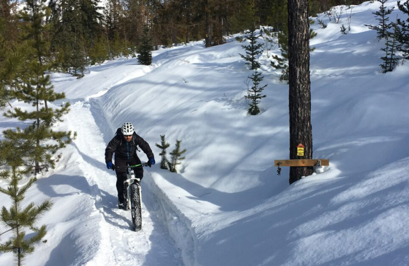 Fat biking at Fernie Central Reservations.