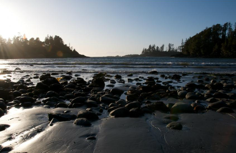 The beach at The Cabins at Terrace Beach.