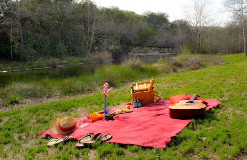 Picnic at Hill Country Premier Lodging.