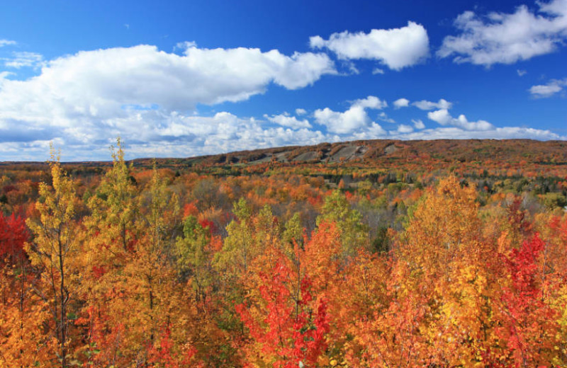 Fall at Trout Creek Condominiums.