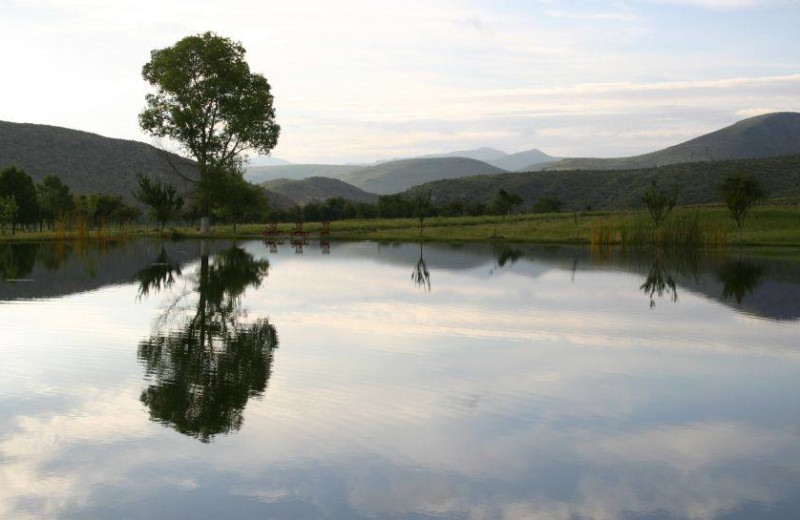 Scenic view at Cibolo Creek Ranch.