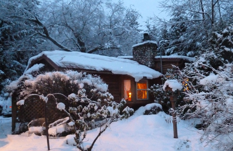 Cabin exterior at Jasmer's Rainier Cabins & Fireplace Rooms.