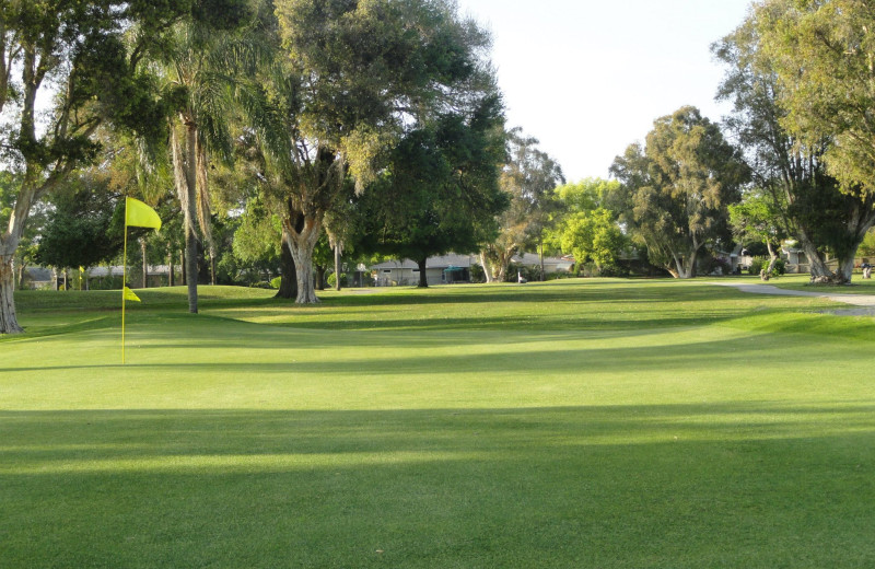 Baypointe Country Club near Shoreline Island Resort.
